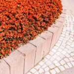 Montarea bordurilor decorative – între funcțional și estetic