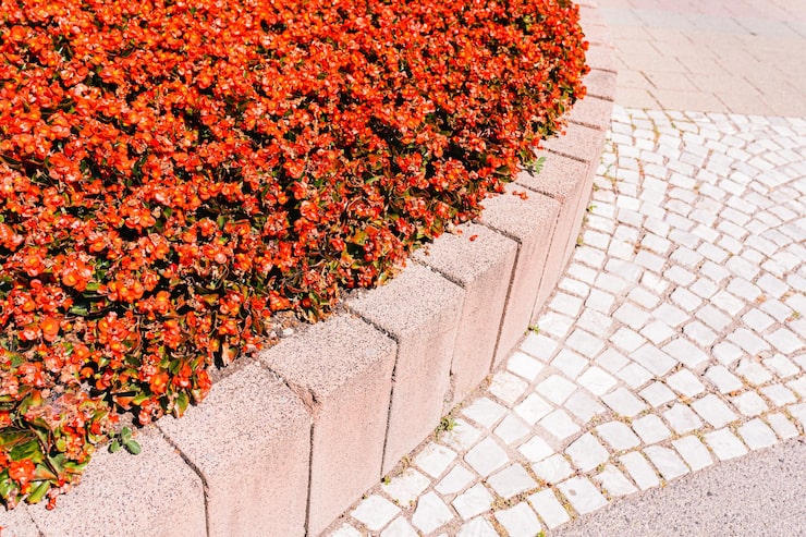 Montarea bordurilor decorative – între funcțional și estetic